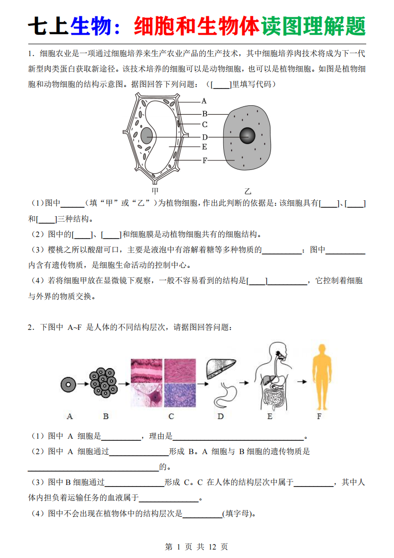 七年级上册人教版生物细胞和生物体读图理解题